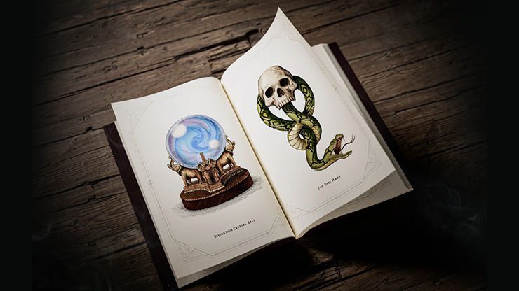 Harry Potter Libro de Colores - Theory11