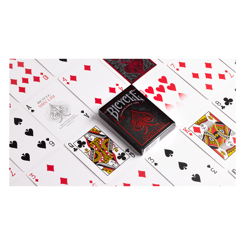 Bicycle SHIN LIM