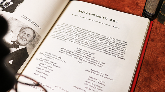 Profit at the Party (Limited/Out of Print) by David Hallett