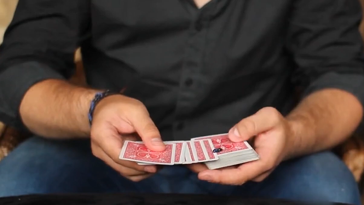 The Fly - Marcos Waldemar