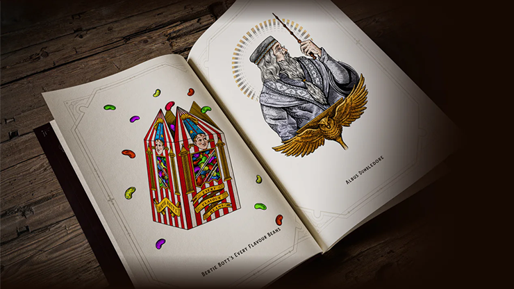 Harry Potter Libro de Colores - Theory11