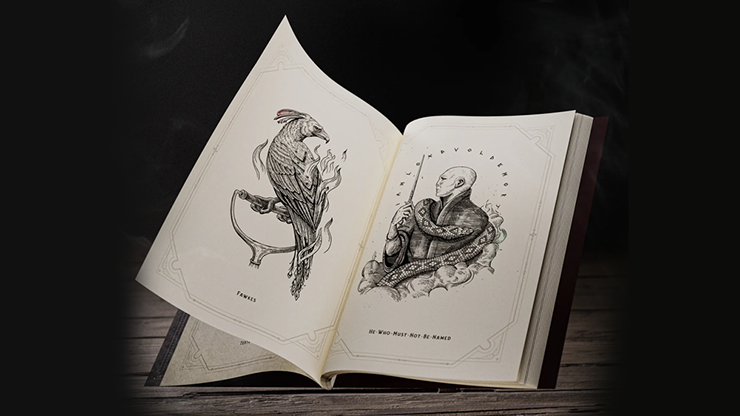 Harry Potter Libro de Colores - Theory11